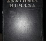 Anatomía Humana de Testut 4 Tomos