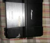 Vendo Planta Pioneer