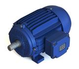 MOTORES ELECTRICOS WEG