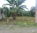 Vendo Lote (280 M)