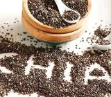 CHIA AL POR MAYOR Y MENOR