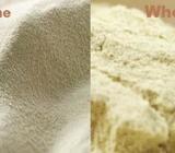 Suero de leche y Proteína láctea, productos garantizados. Informes