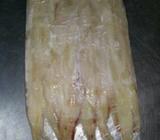 Pescado Trompeta