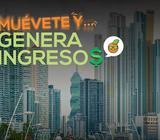 Buscamos Motorizados