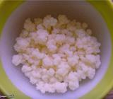 Yogurt Hongos