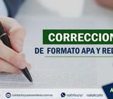 Correcciones de formato APA
