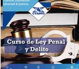 Curso de Ley Penal y Delito