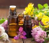 Aceites Esenciales Como Oportunidad de Emprendimiento