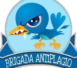 plagio academico