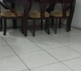 Roomate / Roommate / Compañero de Cuarto
