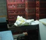 150 Javas de Colas Medianas de Bidrio