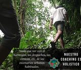 Acompañamiento Emocional y Fisico para Colaboradores de Empresas individuos