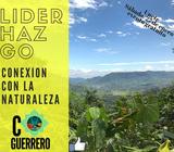 Taller Gratuito de acompañamiento Emocional y Fisico en el Parque Metropolitano para grupos
