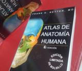 Atlas de Anatomía Netter