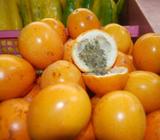 Vendo Granadilla de Primera para El Supe
