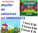 Saltarines Economicos $ 30