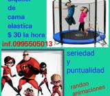 Alquiler de Cama Elastica $ 30
