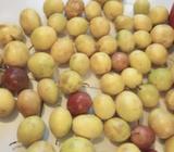 Vendo Maracuya 10X1$