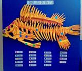 Maquetas Y Otras Manualidades