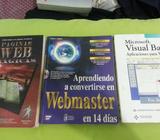 APRENDIENDO A CONVERTIRSE EN WEBMASTER EN 14 DIAS, PAGINAS WEB MAGICAS, VISUAL BASIC