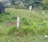 Lote Economico $25.000