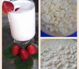 Kefir para Elaborar Yogurt