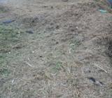 Terreno 200 Mtrs. Nueva Aurora