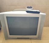 Televisor Sony de 29` con Control Remoto