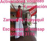 Impresionantes Zanqueros Solo Aqui