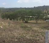 1000 Mts Manglaralto Vendo