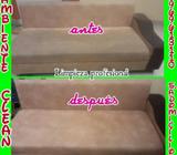 Miércoles de Promo Lavo Muebles Y Sillas