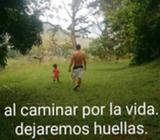 Rotulos 30 Dolares M2