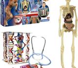 El Cuerpo Humano