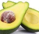 SE VENDE AGUACATE AL POR MAYOR Y MENOR EXCELENTE CALIDAD DESDE 40CTVS