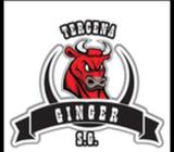 Distribuidora de Carnes