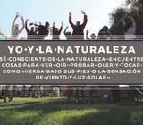Taller de Manejo de Emociones con Cápsulas de Aprendizaje en Dinámicas Lúdicas