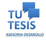 ASESORES ACADEMICOS