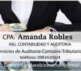 Servicios de Auditoria y Contabilidad