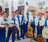 SERENATAS JUNTO A MARIACHI VERACRUZ INF: 0997858814