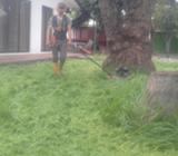 Manteniniento .podas Y Talas