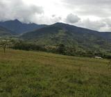 HERMOSA FINCA 13 HECTARIAS