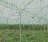 VENDO O CAMBIO 1500 M2 DE INVERNADERO LISTO PARA CULTIVO