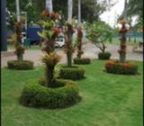 Jardines Y Proyectos