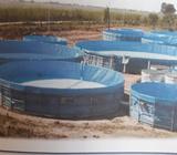 Proyecto Acuicola