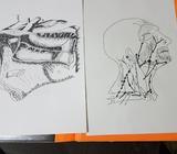 Dibujos A4 A3 Pliego Precio Accesible