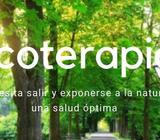 Terapias Emocionales para Adultos con acompañamiento en la naturaleza