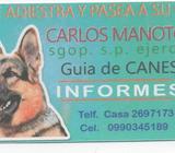 SERVICIOS DE ADIESTRAMIENTO Y PASEO A SU CAN
