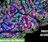 Proyectos Universitarios Calidad y precio insuperable