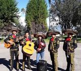 Mariachis Quito