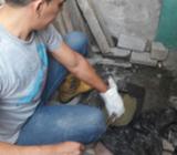 Gafiteria Y Destape